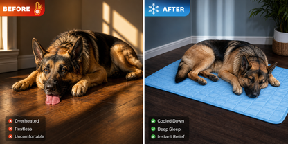 Tapis Rafraîchissant Chien XL